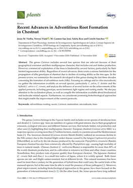 Recent Advances in Adventitious Root Formation in Chestnut