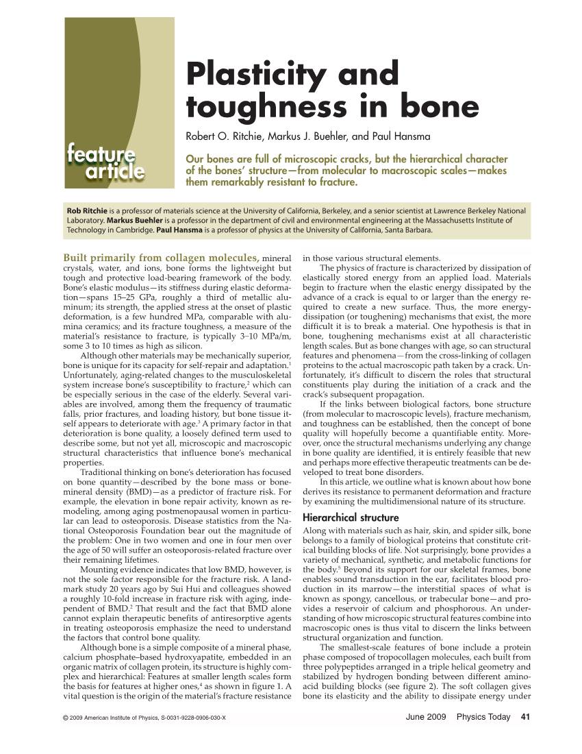 Plasticity and Toughness in Bone Robert O