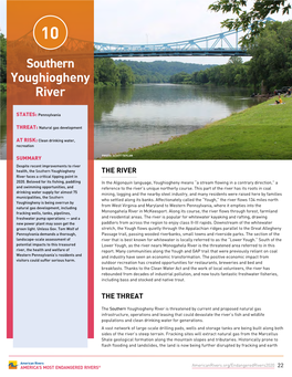 Download the Southern Youghiogheny River Report