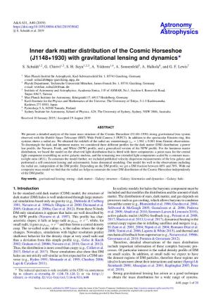 Inner Dark Matter Distribution of the Cosmic Horseshoe (J1148+1930) with Gravitational Lensing and Dynamics?