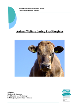 Animal Welfare During Pre-Slaughter