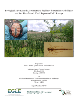 Final Report on Field Surveys