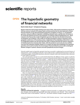 The Hyperbolic Geometry of Financial Networks