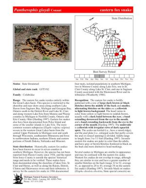 Pantherophis Gloydi Conant Eastern Fox Snake