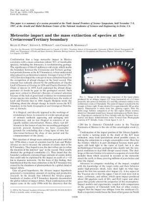Meteorite Impact and the Mass Extinction of Species at the Cretaceous/Tertiary Boundary