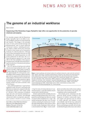 The Genome of an Industrial Workhorse