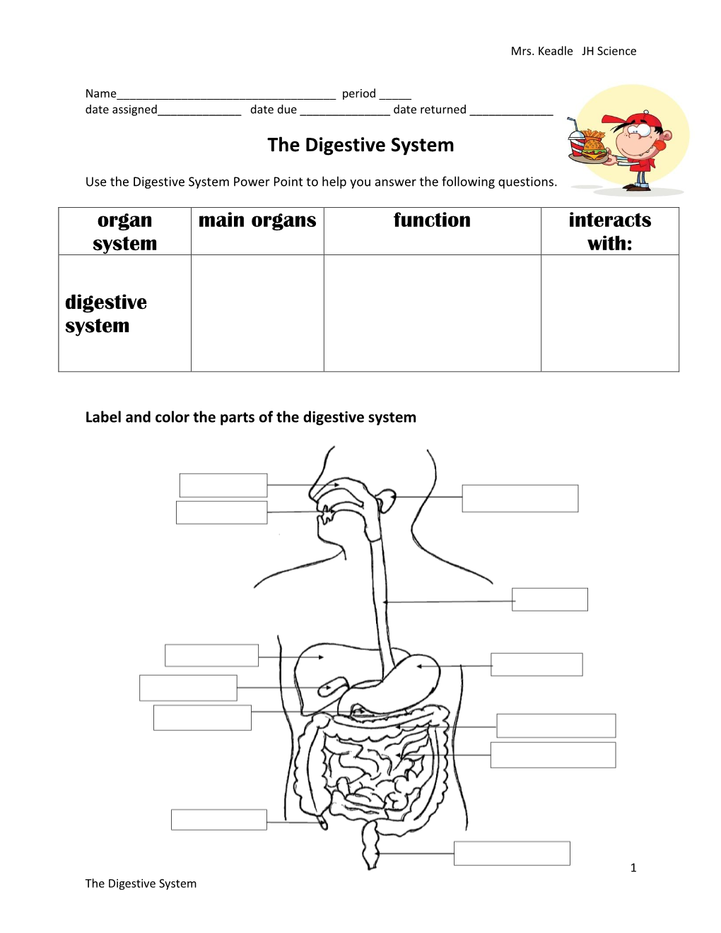 The Digestive System Organ System Main Organs Function Interacts With ...