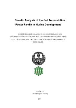 Genetic Analysis of the Sall Transcription Factor Family in Murine Development