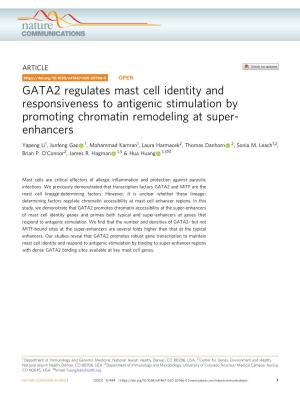 GATA2 Regulates Mast Cell Identity and Responsiveness to Antigenic Stimulation by Promoting Chromatin Remodeling at Super- Enhancers