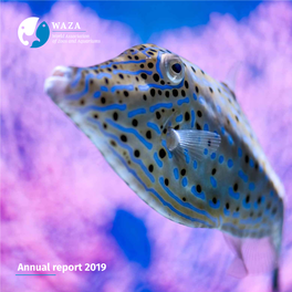 WAZA-Annual-Report-2019.Pdf