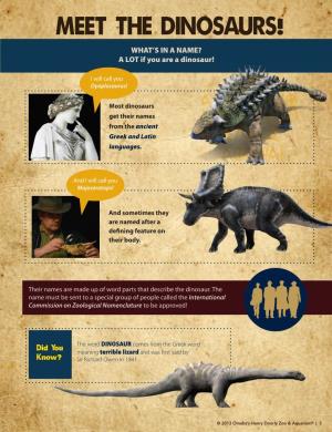 MEET the DINOSAURS! WHAT’S in a NAME? a LOT If You Are a Dinosaur!