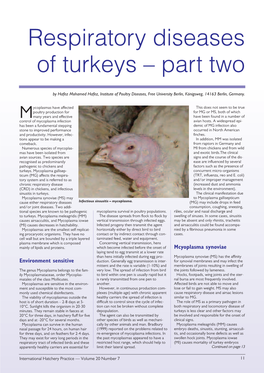 Respiratory Diseases of Turkeys – Part Two