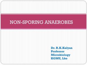 Non-Sporing Anaerobes