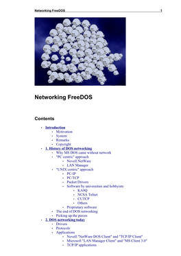 Networking Freedos 1