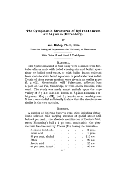 The Cytoplasmic Structures of Spirostomum Ambiguum (Ehrenberg). by Ann Bishop, Ph.D., M.Sc