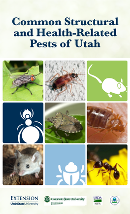 Common Structural and Health-Related Pests of Utah