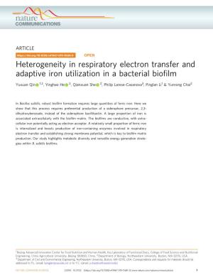 Heterogeneity in Respiratory Electron Transfer and Adaptive Iron Utilization in a Bacterial Bioﬁlm