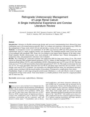 Retrograde Ureteroscopic Management of Large Renal Calculi: a Single Institutional Experience and Concise Literature Review