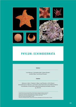 Phylum: Echinodermata