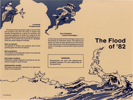 The Flood Of'82