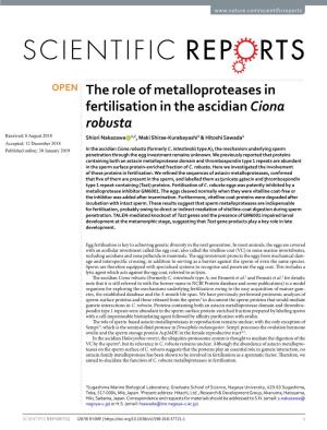 The Role of Metalloproteases in Fertilisation in the Ascidian Ciona