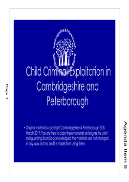 Child Criminal Exploitation in Cambridgeshire and Peterborough