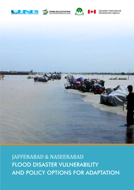 Download Flood Disaster Vulnerability Assessment
