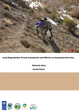Land Degradation Trend Assessment and Effects on Ecosystem