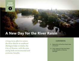 A New Day for the River Raisin