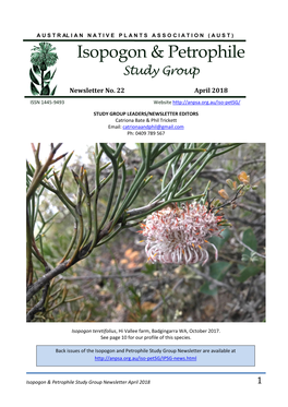 Isopogon & Petrophile