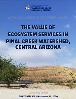 The Value of Ecosystem Services in Pinal Creek Watershed, Central Arizona