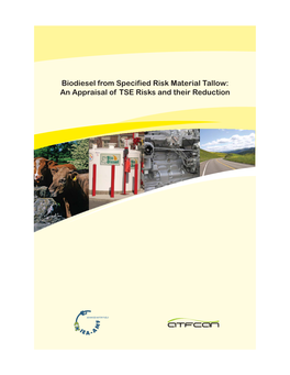 Biodiesel from Specified Risk Material Tallow: an Appraisal of TSE Risks and Their Reduction