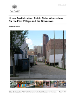 Urban Revitalization: Public Toilet Alternatives for the East Village and the Downtown
