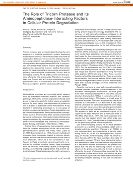 The Role of Tricorn Protease and Its Aminopeptidase-Interacting Factors in Cellular Protein Degradation