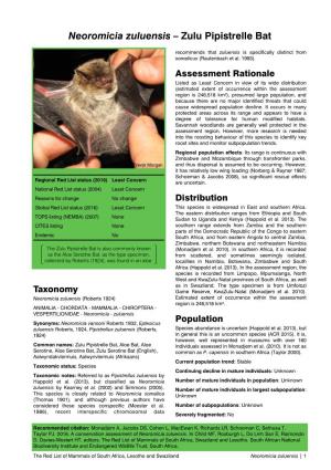 Neoromicia Zuluensis – Zulu Pipistrelle Bat