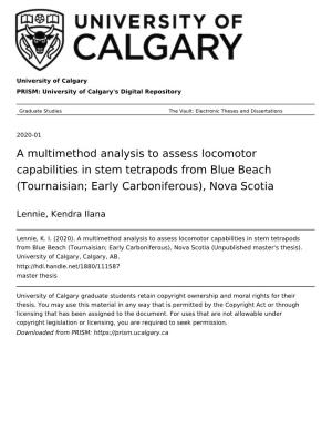 A Multimethod Analysis to Assess Locomotor Capabilities in Stem Tetrapods from Blue Beach (Tournaisian; Early Carboniferous), Nova Scotia