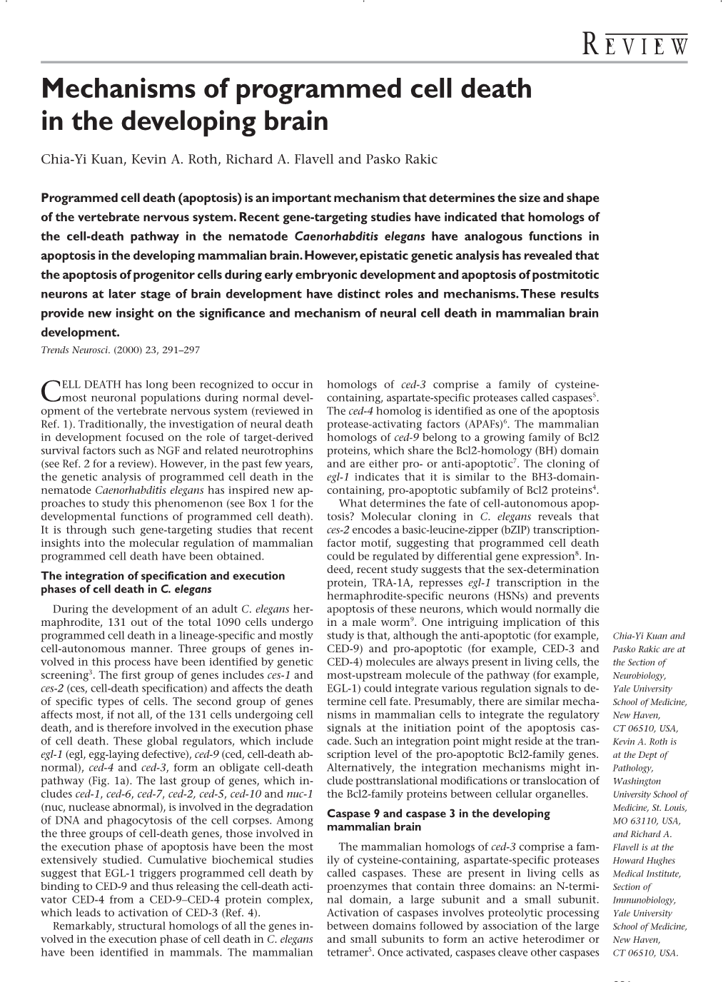 Mechanisms of Programmed Cell Death in the Developing Brain