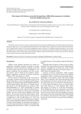 First Report of Evelineus Mcintoshii (Langerhans, 1880) (Heteronemertea, Lineidae) from the Mediterranean Sea