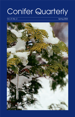 Conifer Quarterly