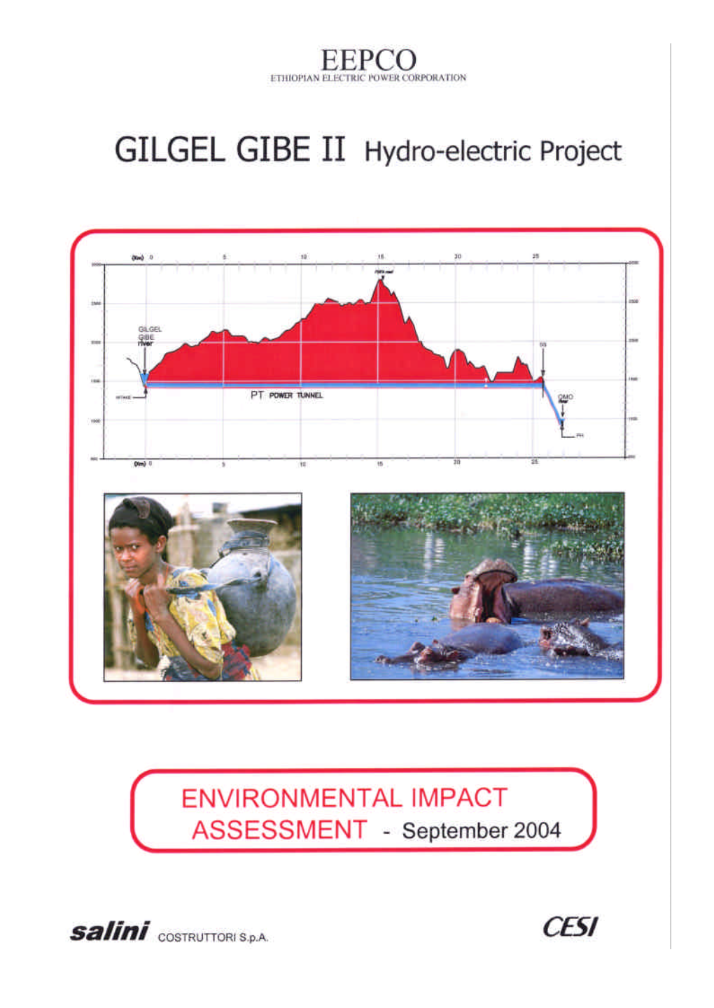 Environmental Impact Assessment (EIA)