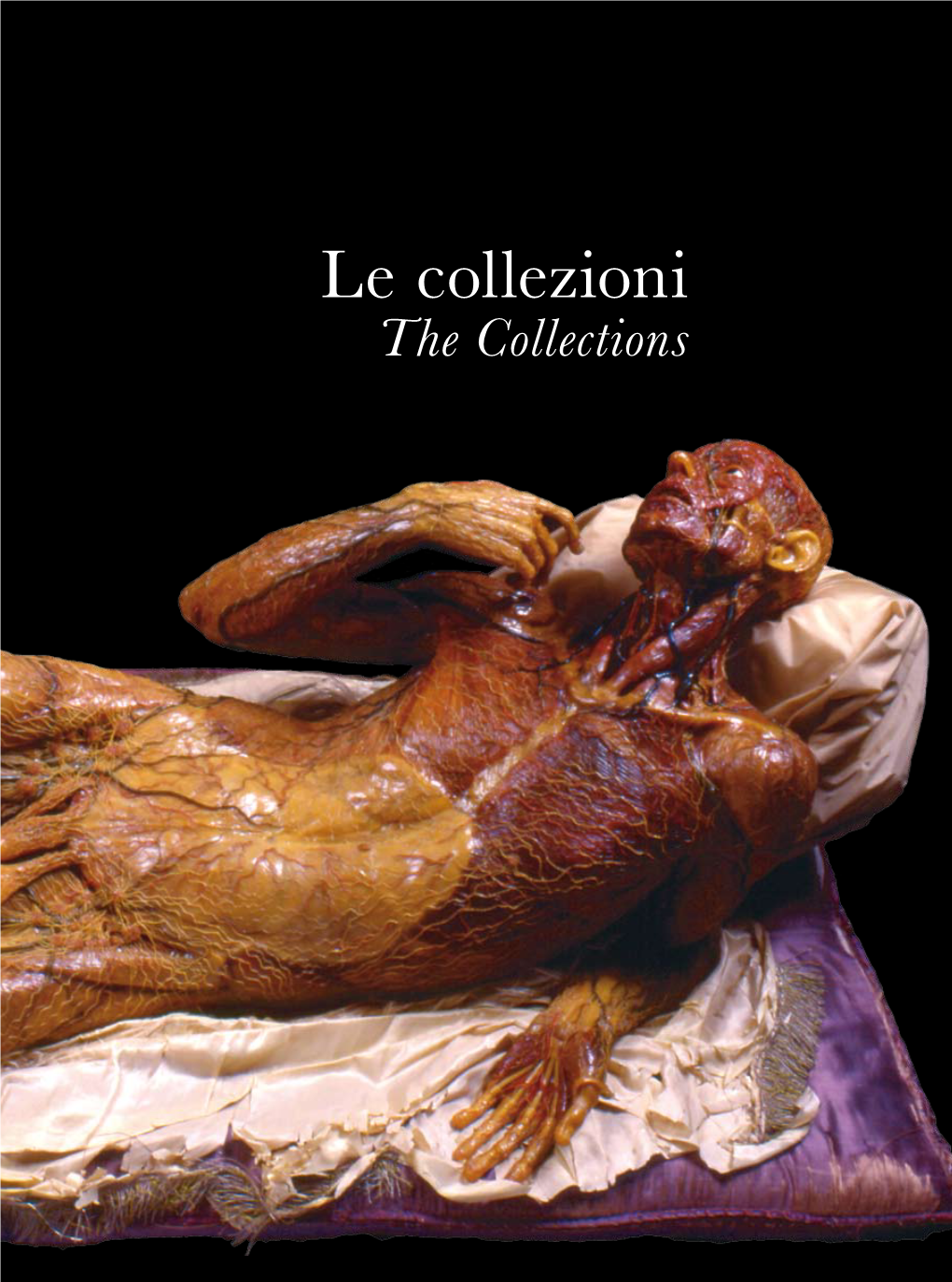 La Collezione Delle Cere Anatomiche the Anatomical Wax Collection Marta Poggesi
