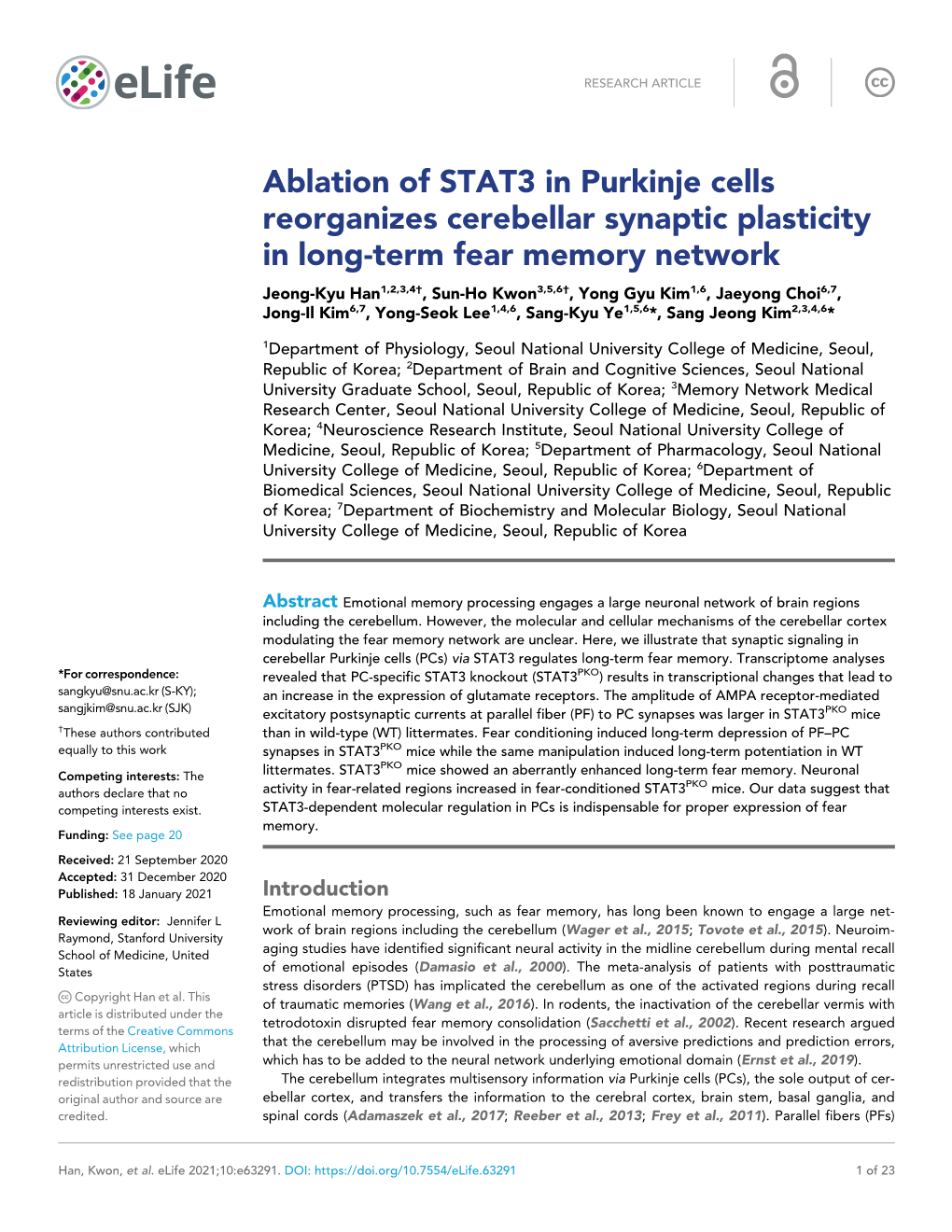 Ablation of STAT3 in Purkinje Cells Reorganizes Cerebellar Synaptic