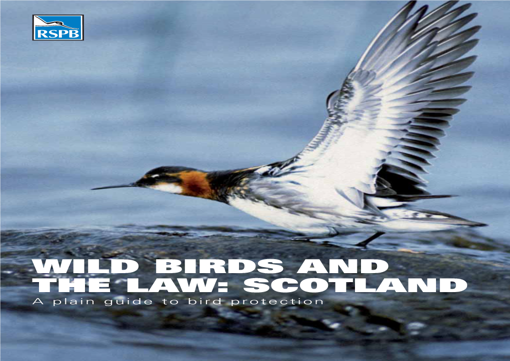 WILD BIRDS and the LAW: SCOTLAND a Plain Guide to Bird Protection Red-Necked Phalarope by Guy Shorrock (RSPB)