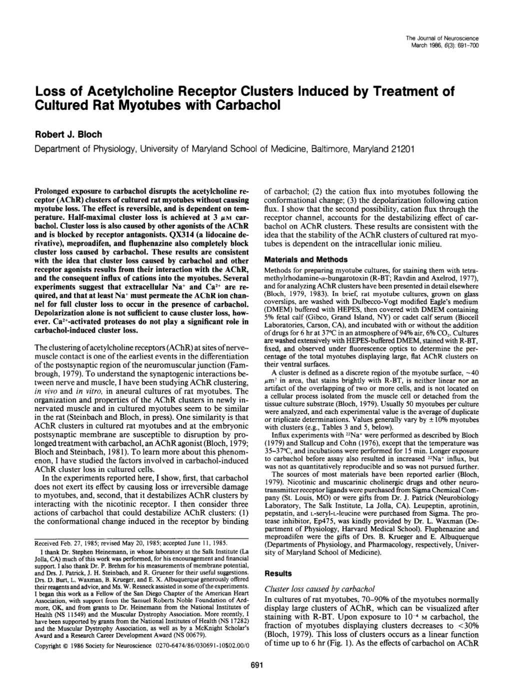 Loss of Acetylcholine Receptor Clusters Induced by Treatment of Cultured Rat Myotubes with Carbachol