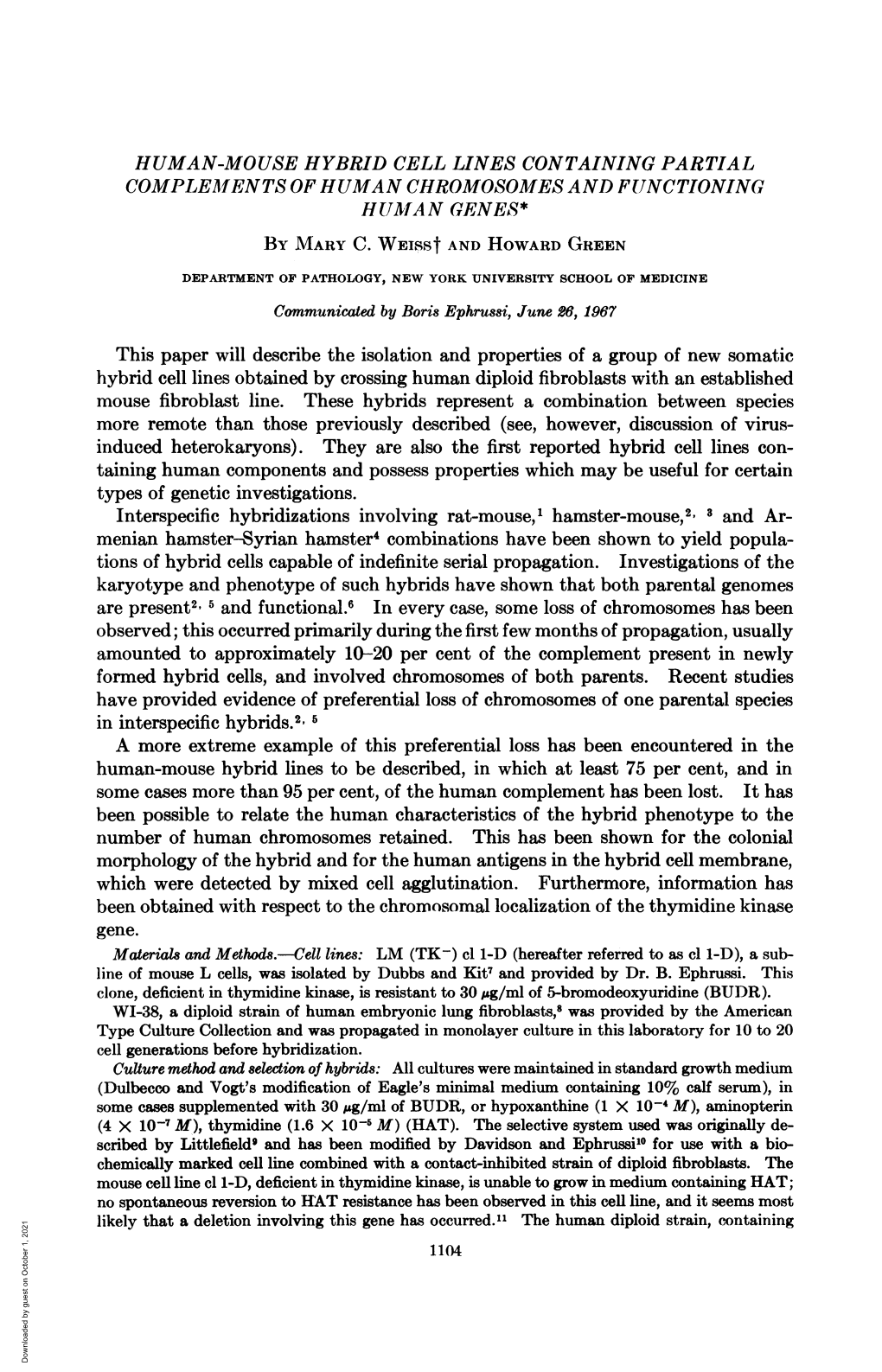 Been Possible to Relate the Human Characteristics of the Hybrid Phenotype to the Number of Human Chromosomes Retained