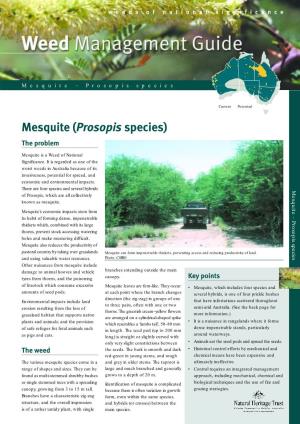 Mesquite (Prosopis Species) the Problem