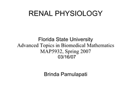 Renal Physiology Background