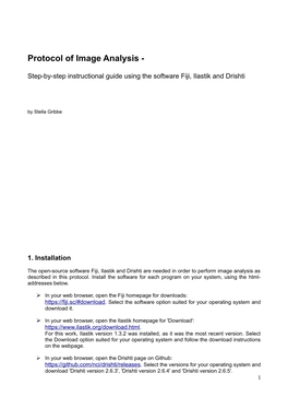 Protocol of Image Analysis