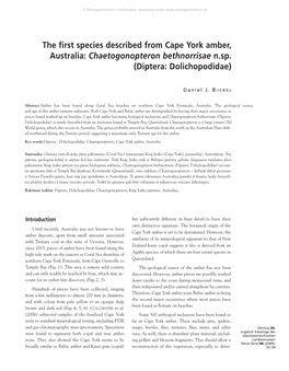 The First Species Described from Cape York Amber, Australia: Chaetogonopteron Bethnorrisae N.Sp