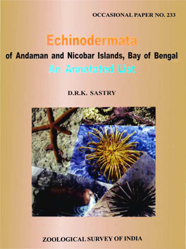 Of Andaman and Nicobar Islands, Bay of Bengal